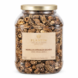 Morilles sans queue...