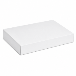 boites plateaux traiteur 28x42