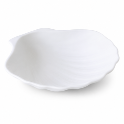 Coquille St Jacques vides...