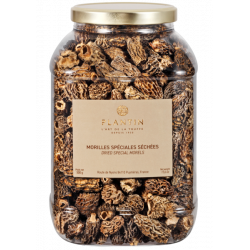 Morilles sans queue...